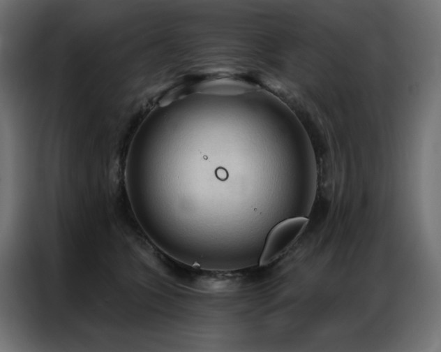 X0000086900563200704161319