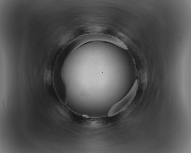 X0000086900564200704161319