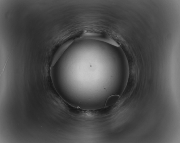 X0000086900565200704161319