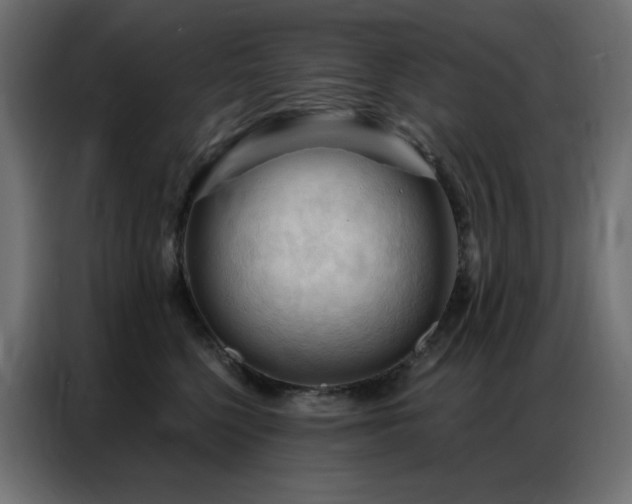 X0000086900568200704161319
