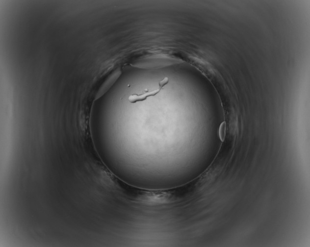 X0000086900569200704161319