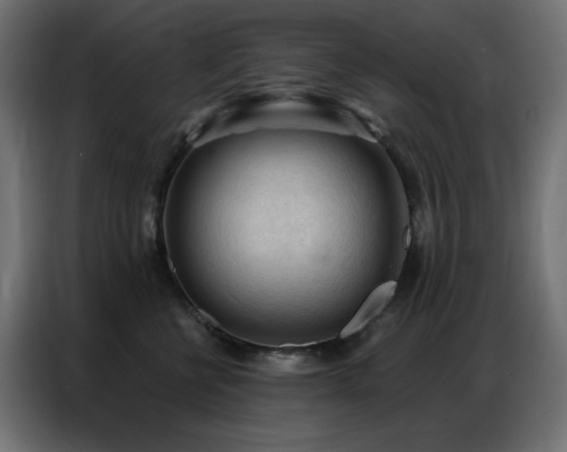 X0000086900570200704161319