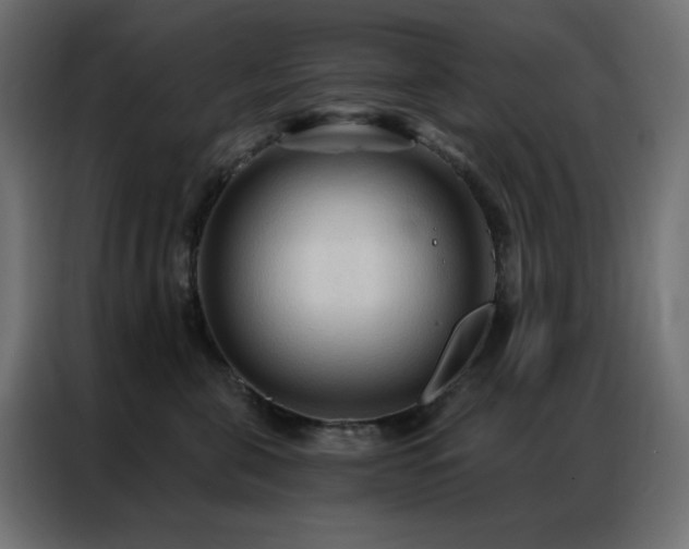 X0000086900571200704161319