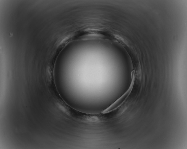 X0000086900572200704161319