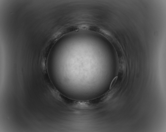 X0000086900573200704161320