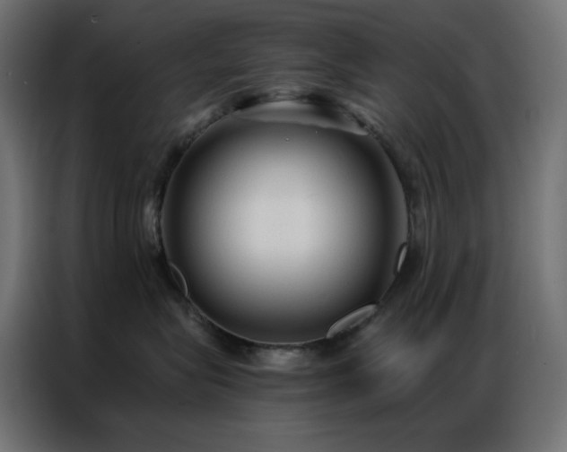 X0000086900575200704161320