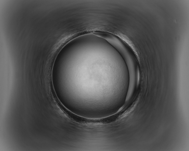 X0000086900577200704161319