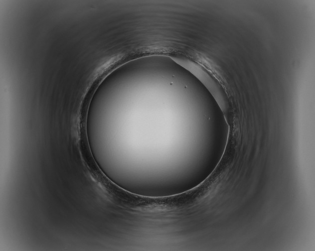 X0000086900578200704161319