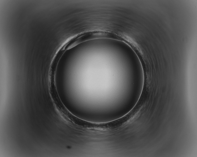 X0000086900580200704161319