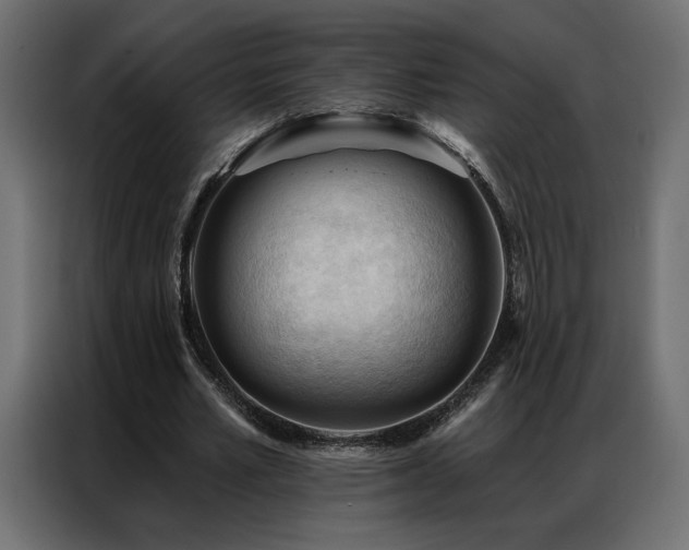 X0000086900581200704161319