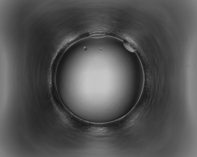 X0000086900582200704161319