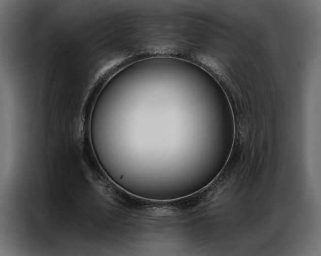 X0000086900583200704161319