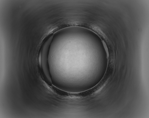 X0000086900585200704161319