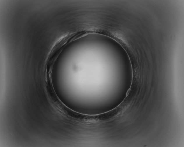 X0000086900587200704161319