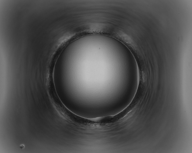 X0000086900588200704161319