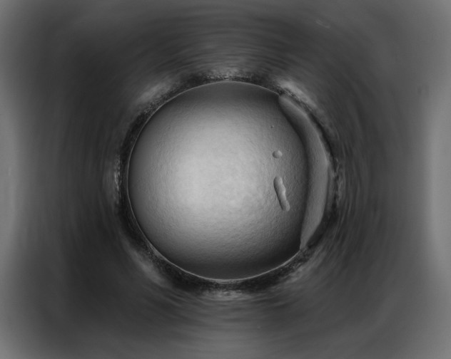 X0000086900590200704161318