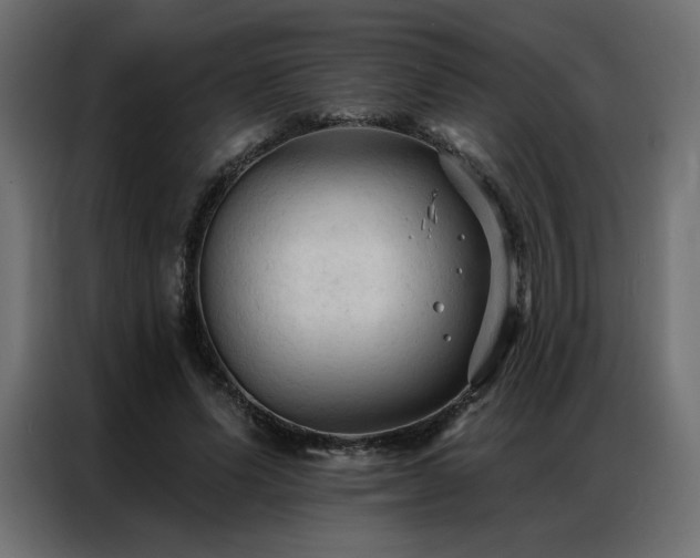 X0000086900591200704161318