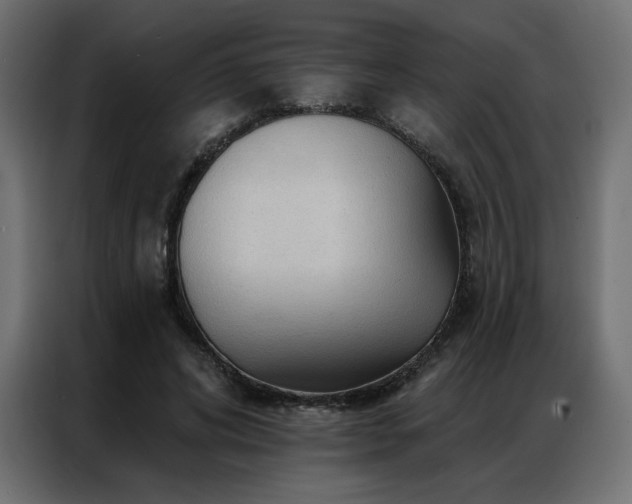 X0000086900592200704161318