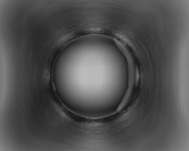 X0000086900593200704161318