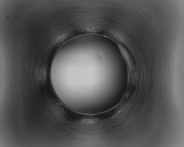 X0000086900595200704161318
