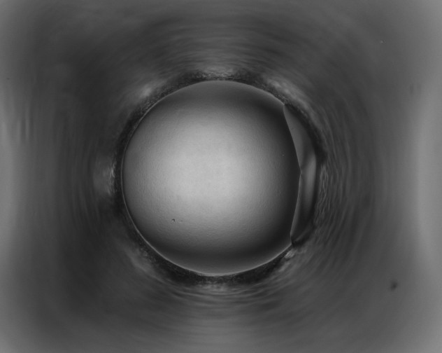 X0000086900596200704161318