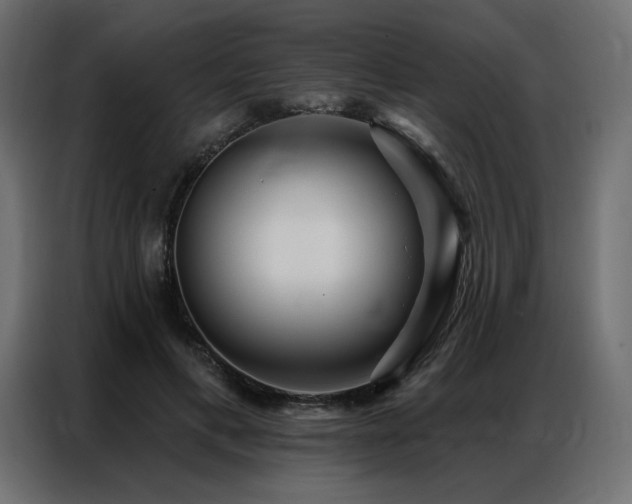 X0000086900597200704161318