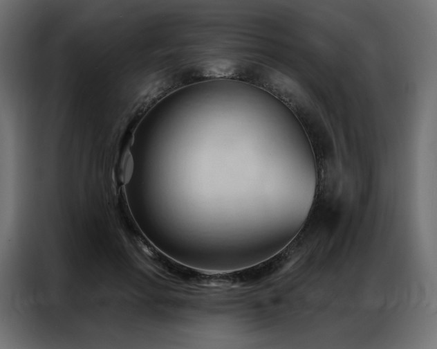 X0000086900598200704161318