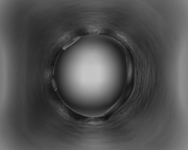 X0000086900601200704161318