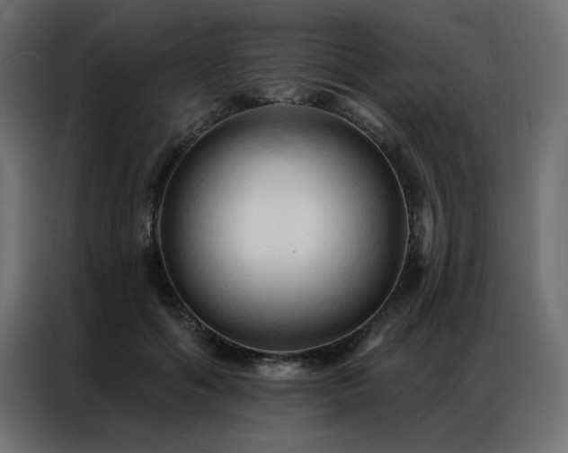 X0000086900602200704161318