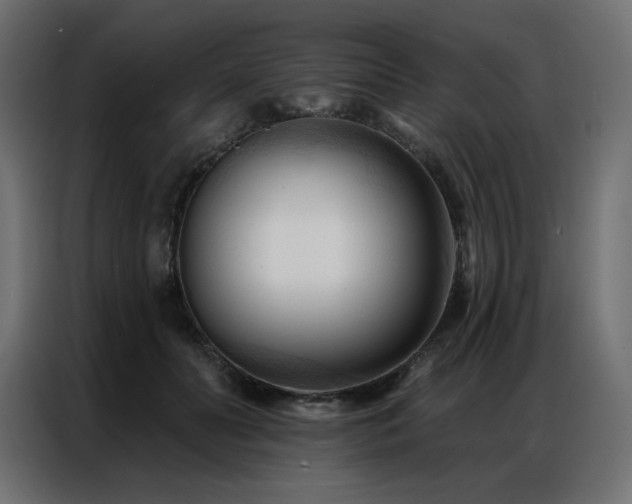X0000086900606200704161318