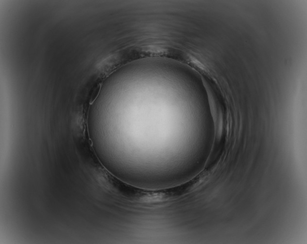 X0000086900609200704161318