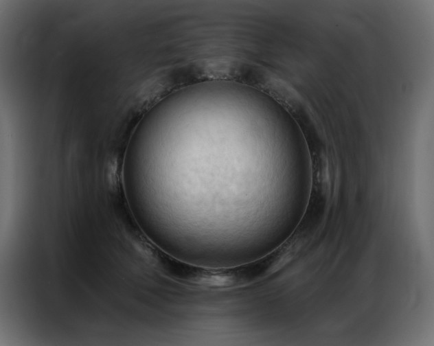 X0000086900610200704161318