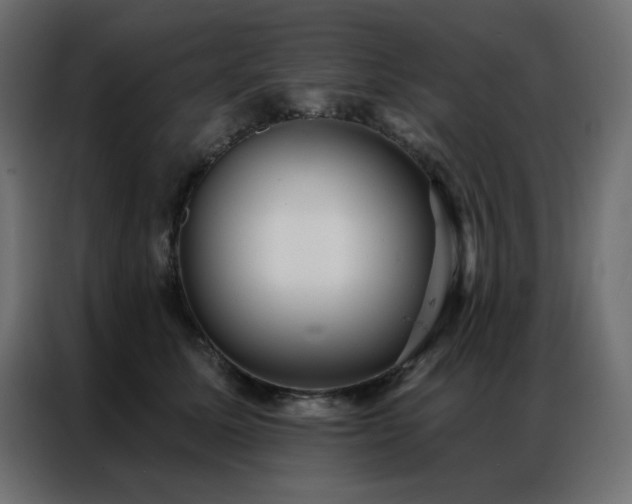 X0000086900611200704161318
