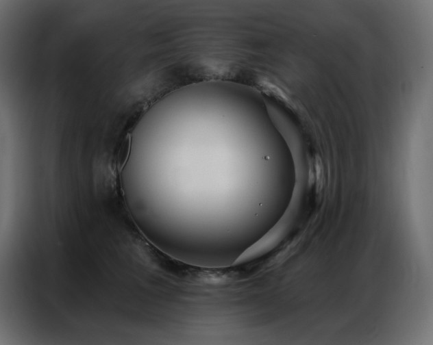 X0000086900613200704161318