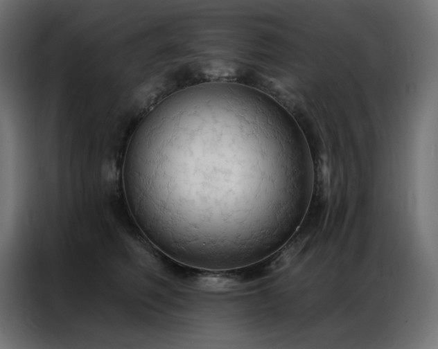 X0000086900614200704161318