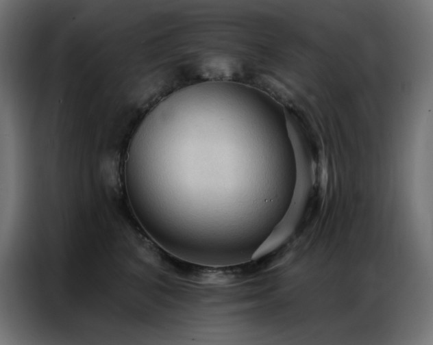 X0000086900616200704161318