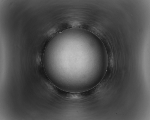 X0000086900618200704161318