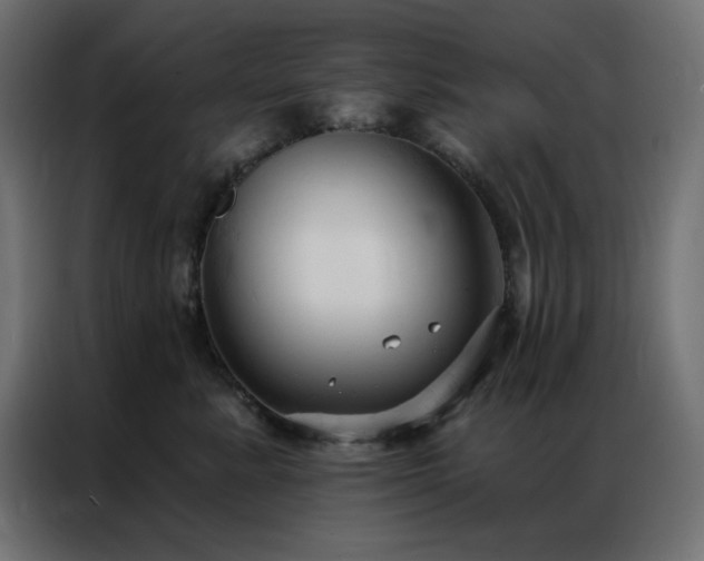 X0000086900619200704161318