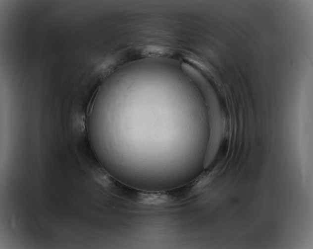 X0000086900621200704161318