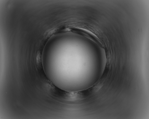 X0000086900623200704161318