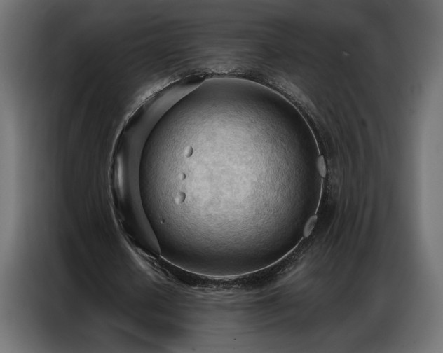X0000086900626200704161317
