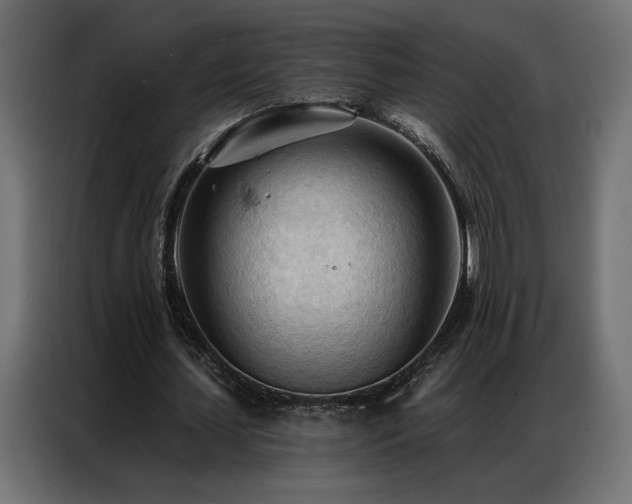 X0000086900627200704161317