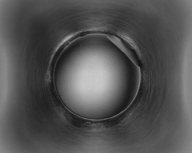 X0000086900628200704161317