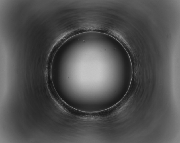 X0000086900629200704161317