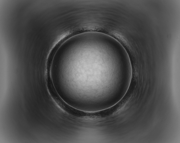 X0000086900630200704161317