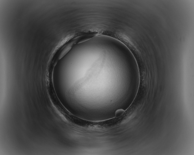 X0000086900634200704161317