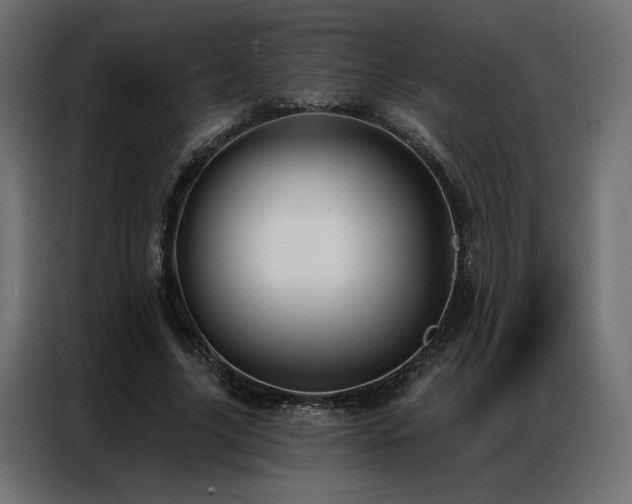 X0000086900635200704161317