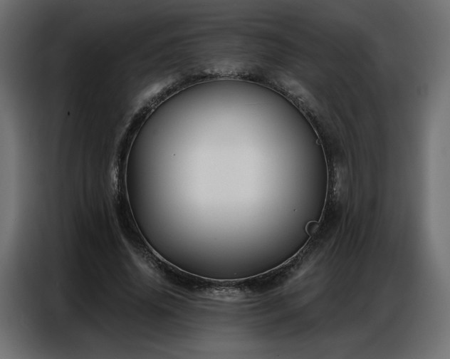X0000086900636200704161317