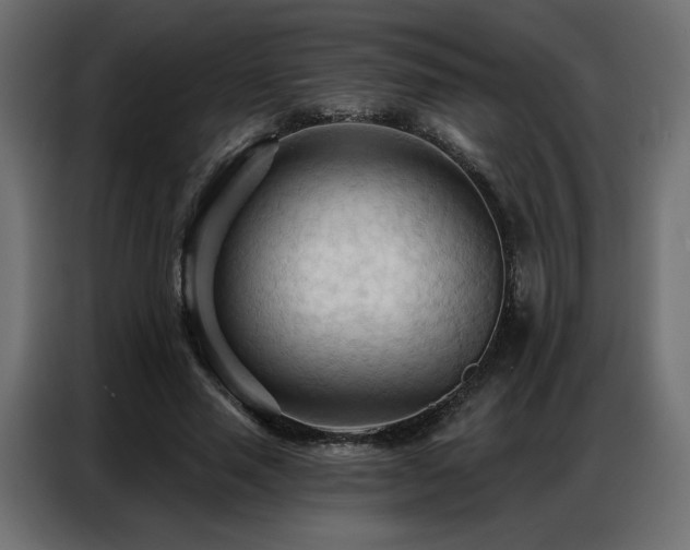 X0000086900637200704161317