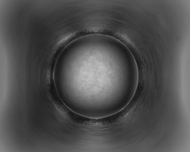 X0000086900640200704161317
